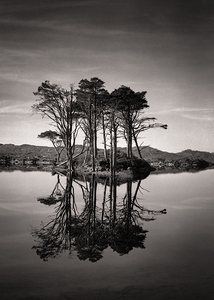 Loch Assynt Reflection II