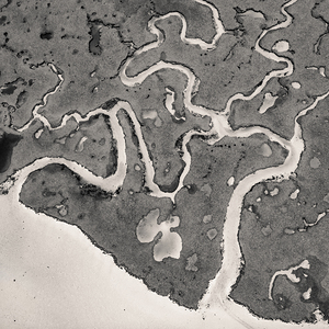 Salt Marsh Channels