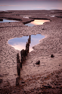 Snettisham Salt Marsh