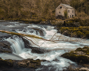 Cenarth Watermill