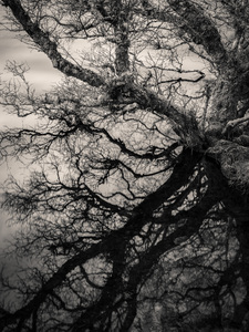 Lochan Na Cuilce Reflections