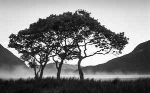 Morning Mist over Crummock Water