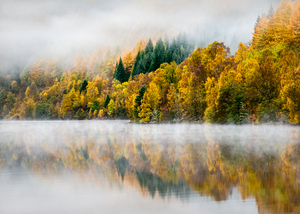 Autumn Mist