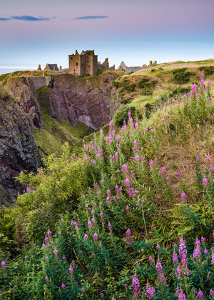 Summer at Dunnottar Castle