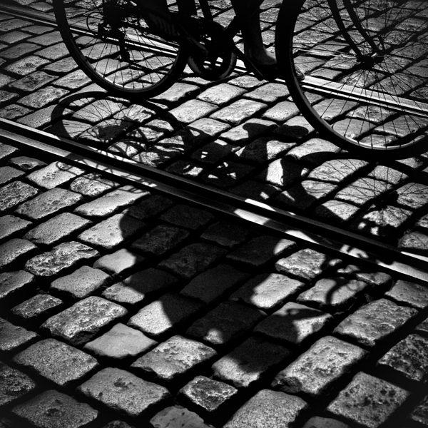 Between the Lines Print