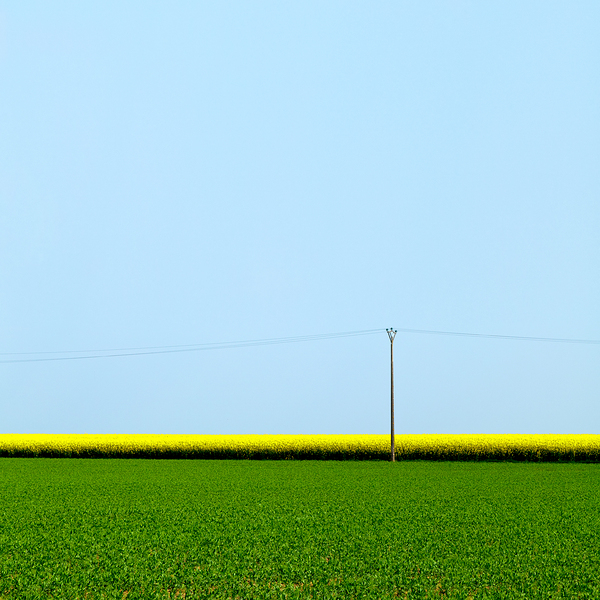 Mustard Sandwich Print