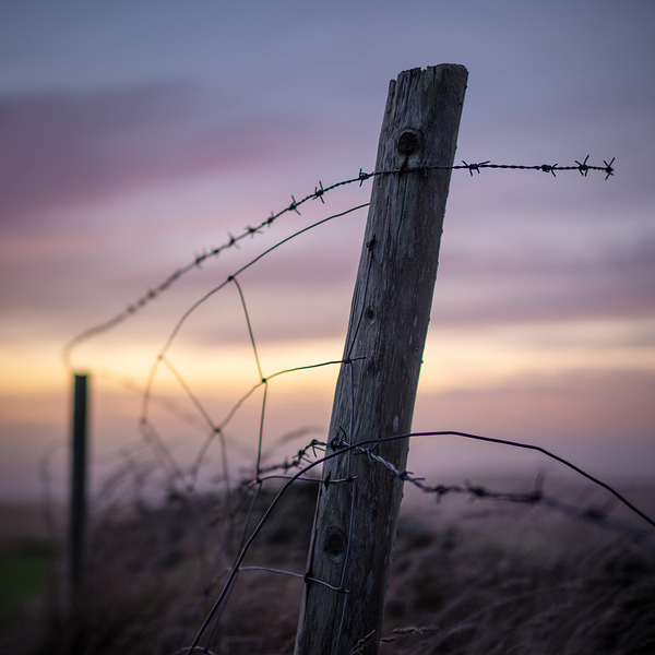 Anglesey Fence at Sunset Print