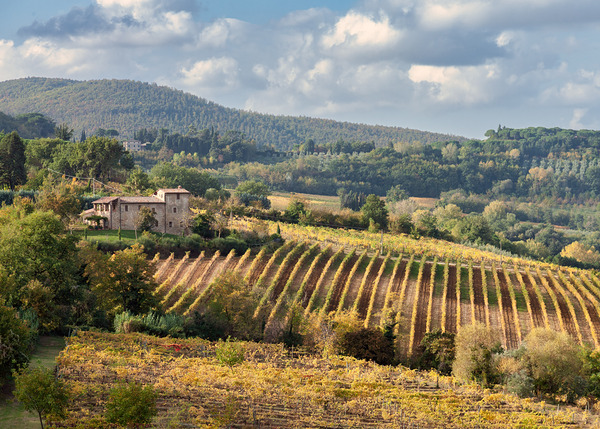 Tuscan Valley Print