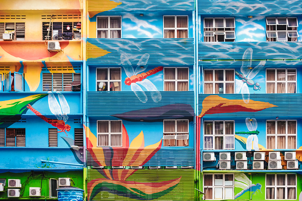 Urban Dragonflies Print