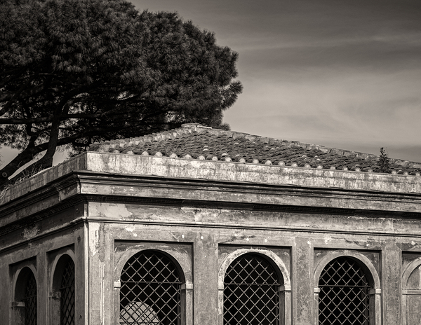 Farnese Aviary Print