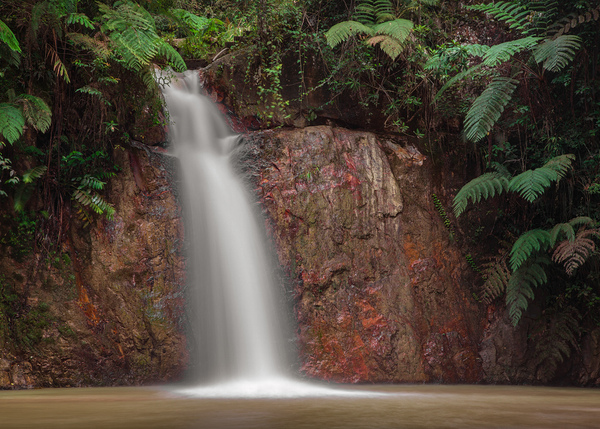 Tropical Waterfall Print