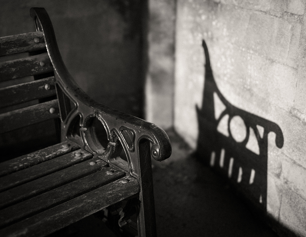 Parade Gardens Bench Print