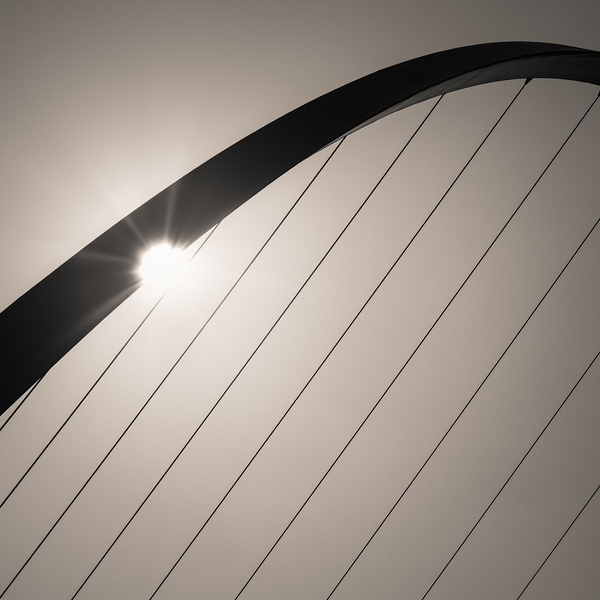 Sunlit Strings Print