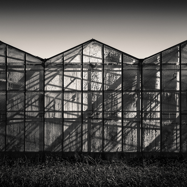Greenhouse Shadows Print