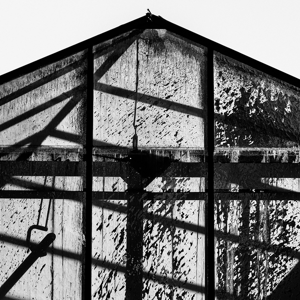 Dutch Greenhouse Print