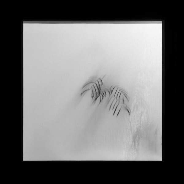 Kyoto House Plant Print