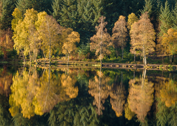 Autumn on Glencoe Lochan Print