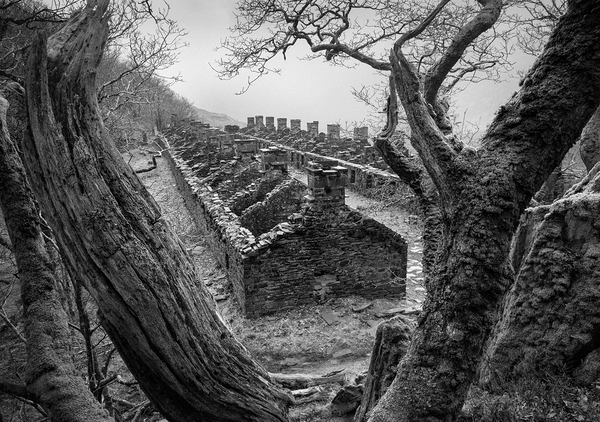 Anglesey Barracks Print