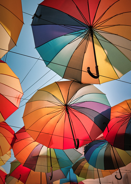 Penang Umbrellas Print