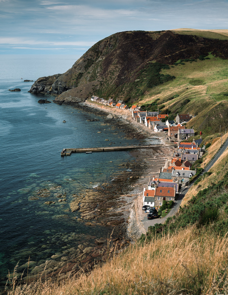 Crovie Print