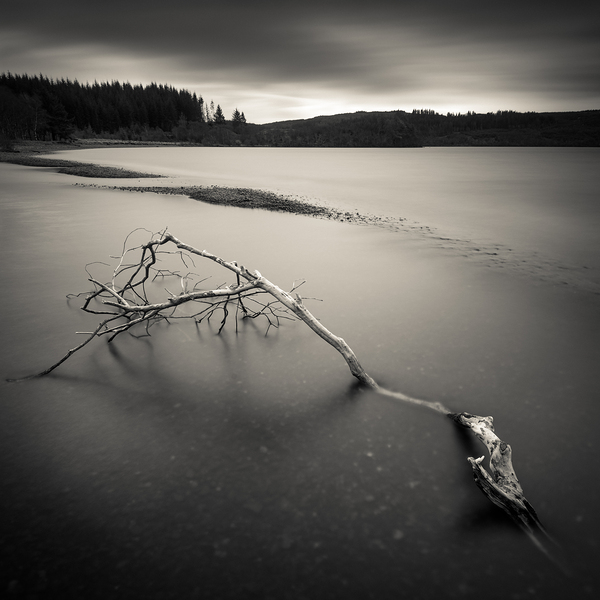 Loch Avich Branch Print