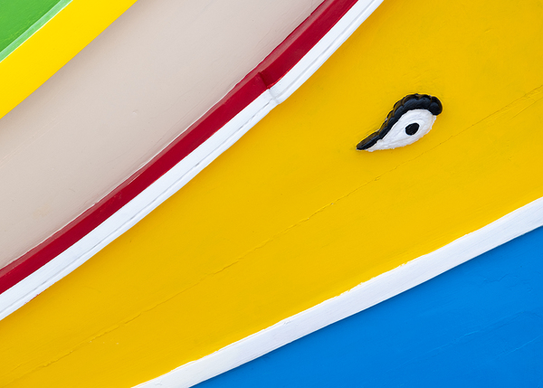 Maltese Luzzu Bow Print