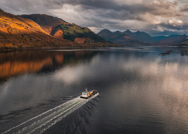 Heading to the Fish Farm Print