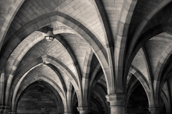The Cloisters Print