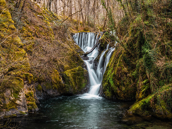Woodland Waterfall Print