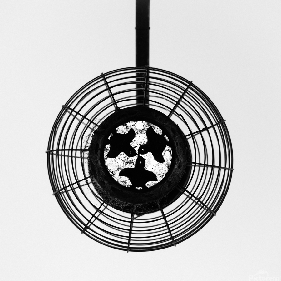 Pontocho Street Lamp  Print