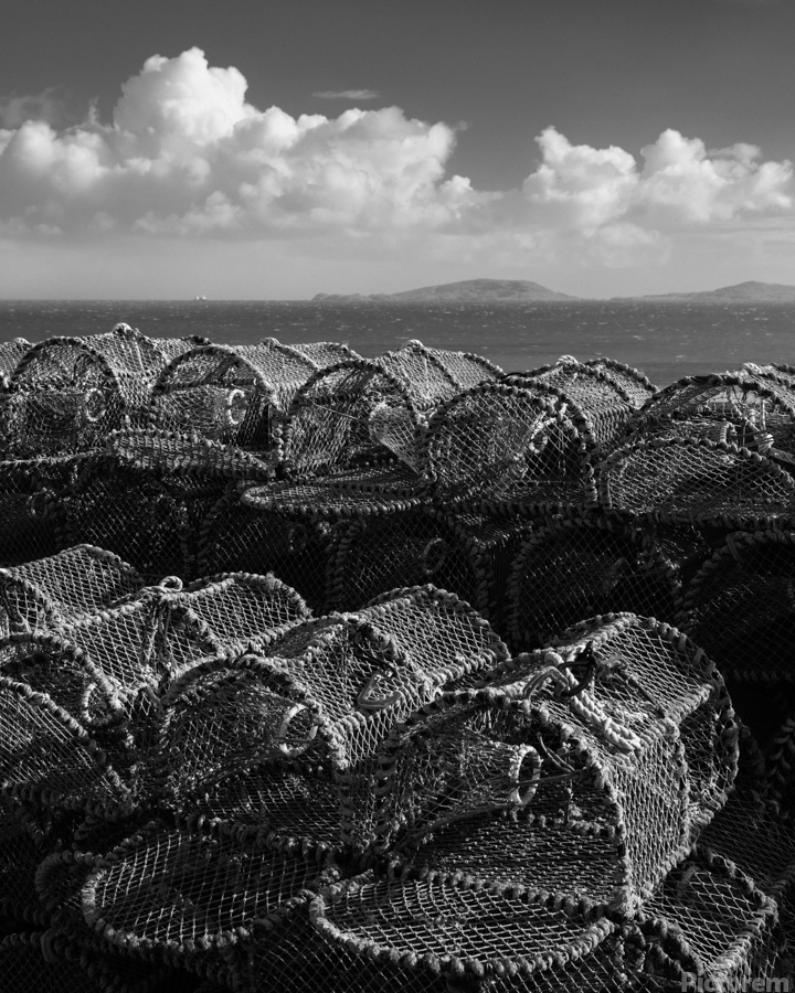 Barra Creel Nets  Print