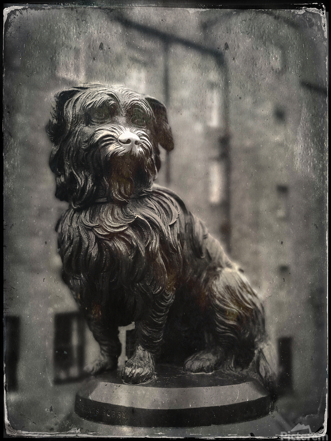 Greyfriars Bobby  Print