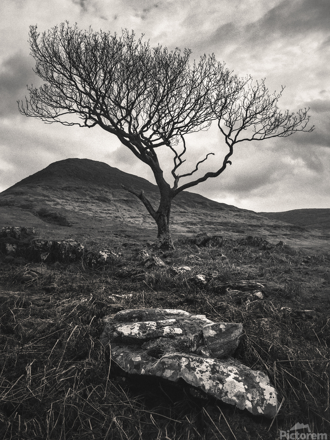 Mull Solitude  Print