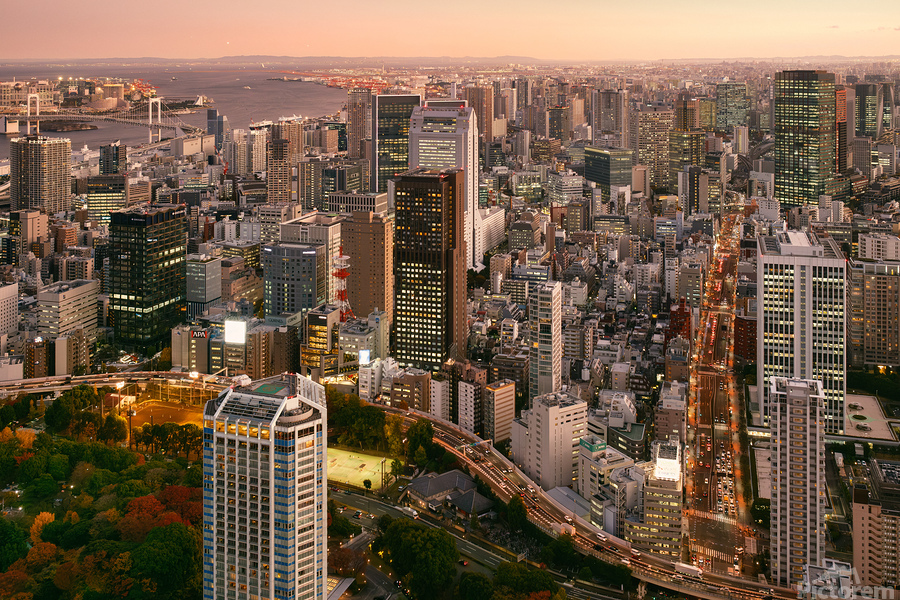 The Heart of Minato  Print