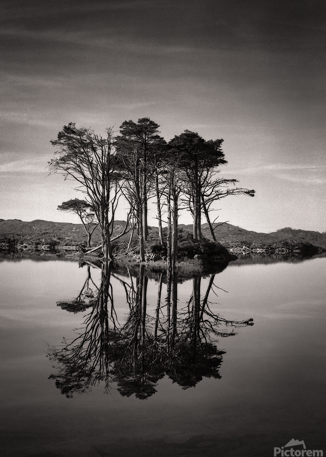 Loch Assynt Reflection II  Print