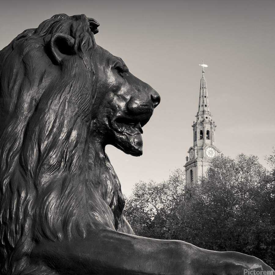 Trafalgar Square Lion  Print