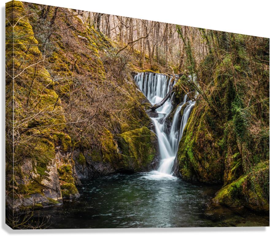Woodland Waterfall Canvas Print