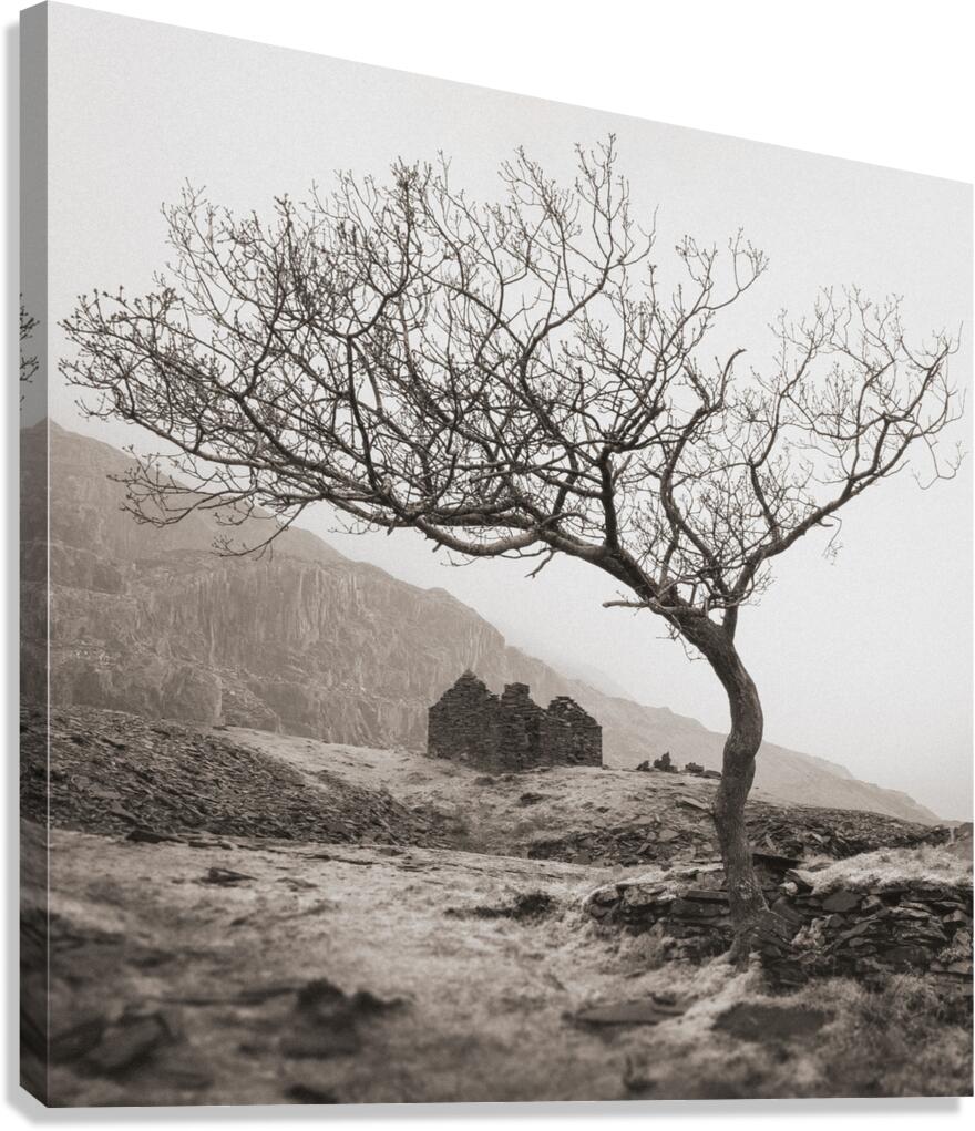 Dinorwic Quarry Ruin Canvas Print