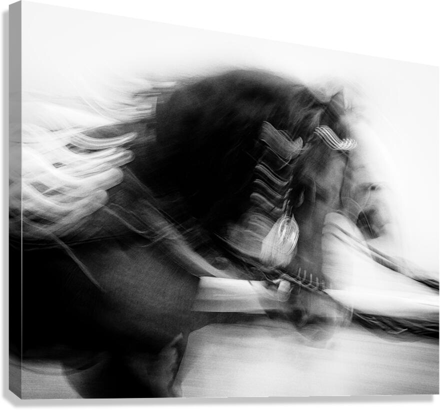 City Horses Canvas Print