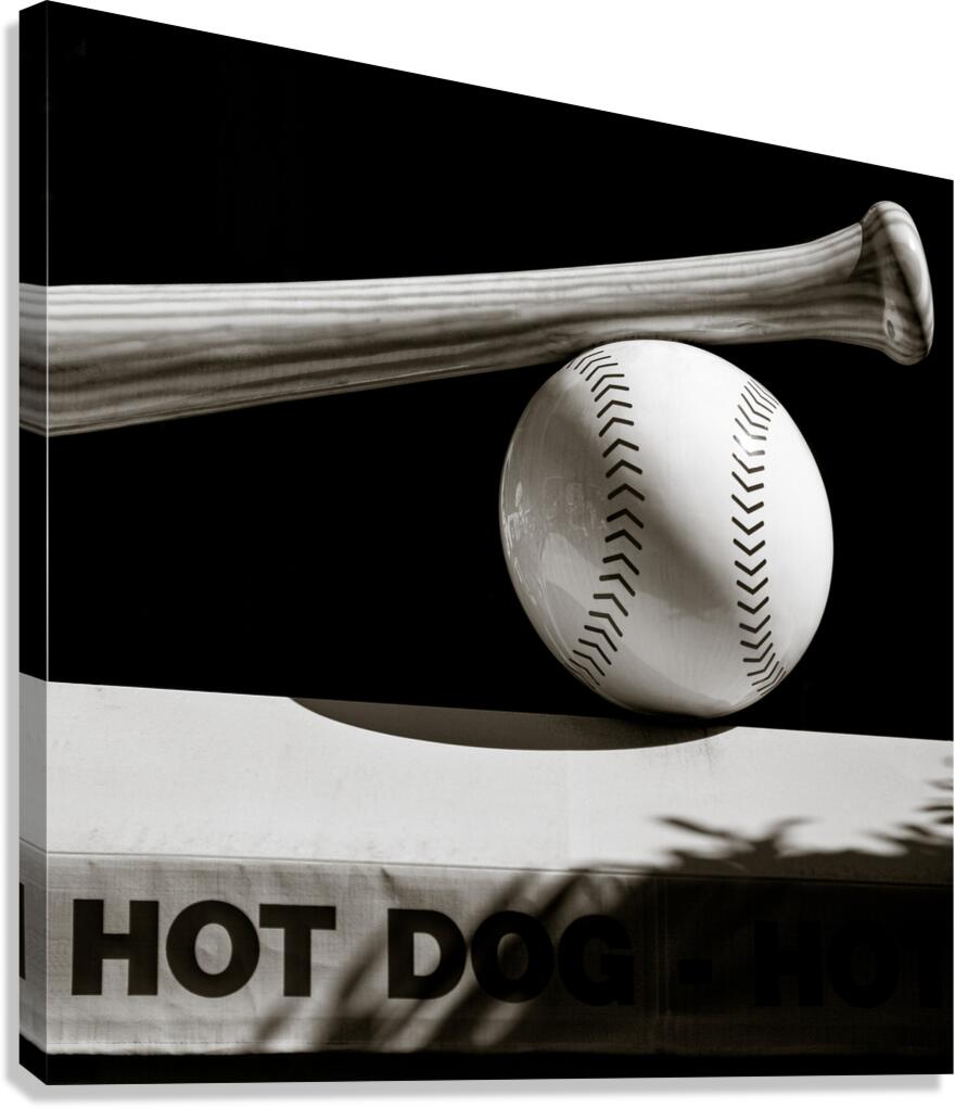 Bat and Ball Canvas Print