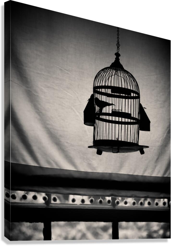 Birdcage Canvas Print