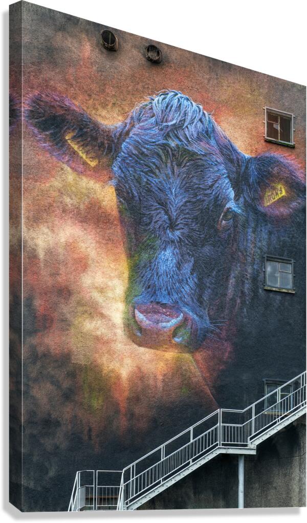 Ballymoney Cow Mural Canvas Print
