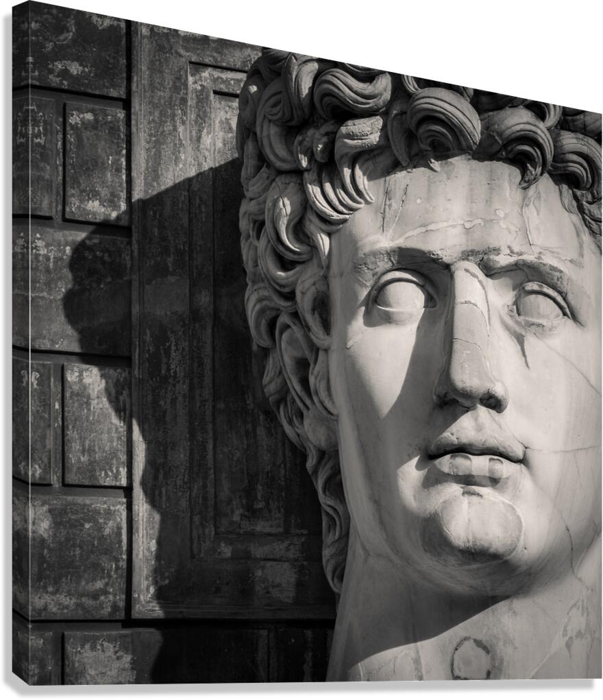 Augustus Canvas Print