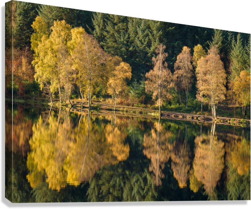 Autumn on Glencoe Lochan Canvas Print