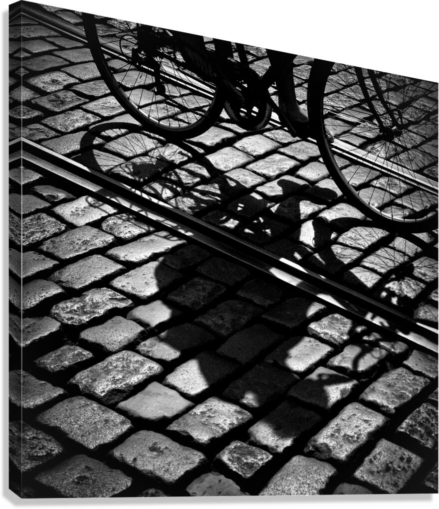 Between the Lines Canvas Print