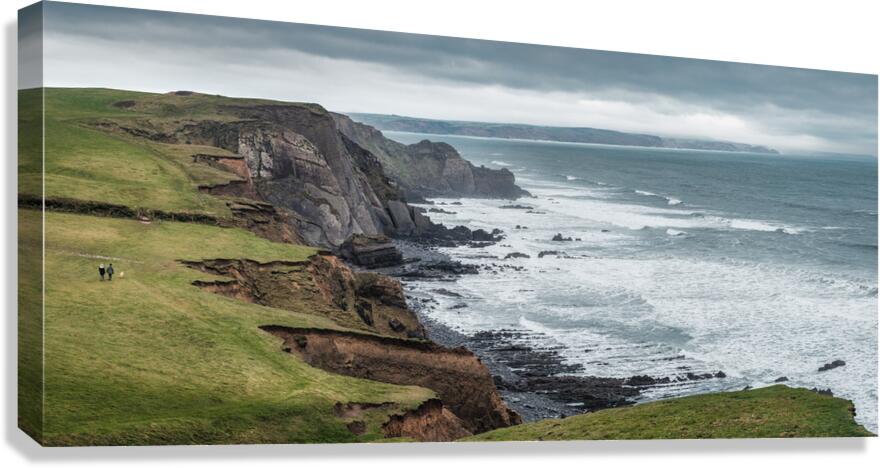 A Walk Along Sandymouth Cliffs Canvas Print