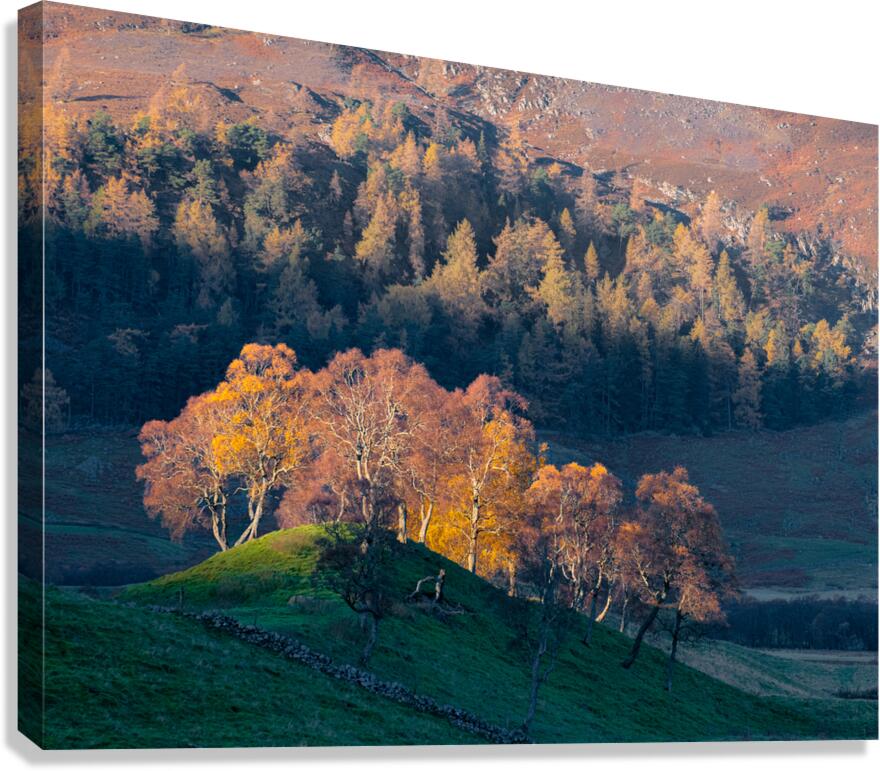 Autumn in Glenshee Canvas Print