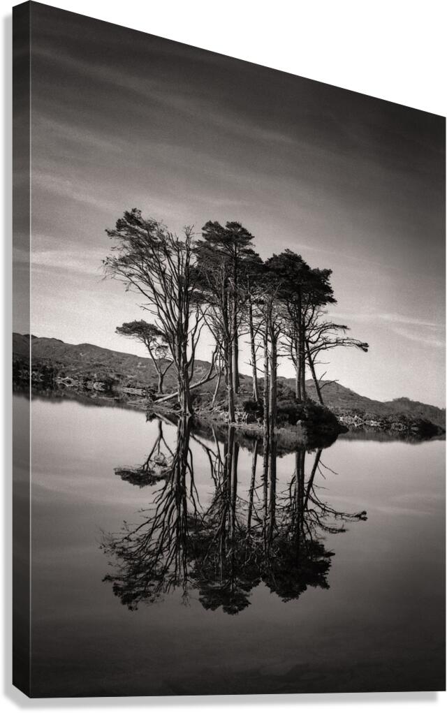 Loch Assynt Reflection II Canvas Print
