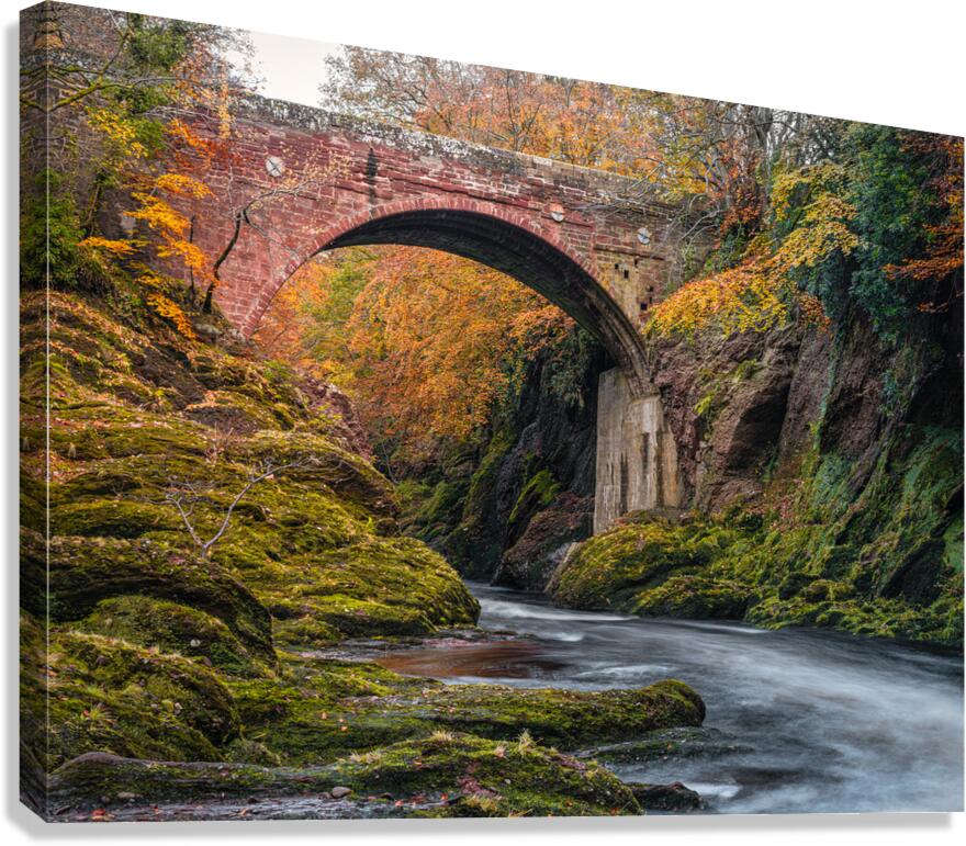 Gannochy Bridge in Autumn Canvas Print