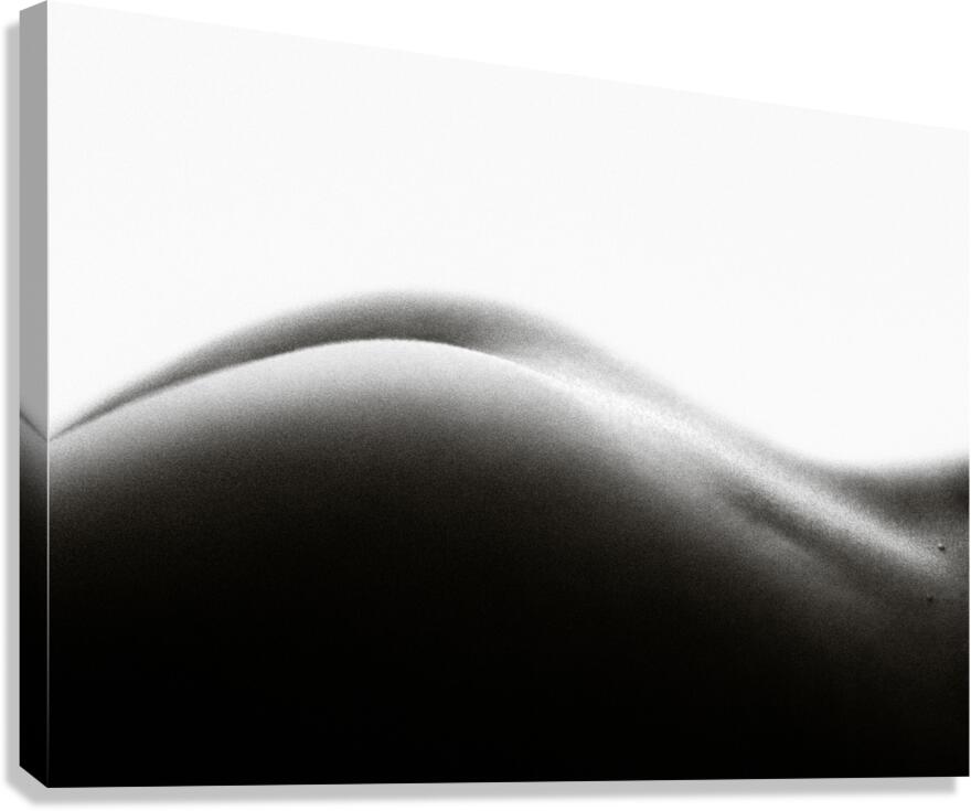 Nude Study No2 Canvas Print